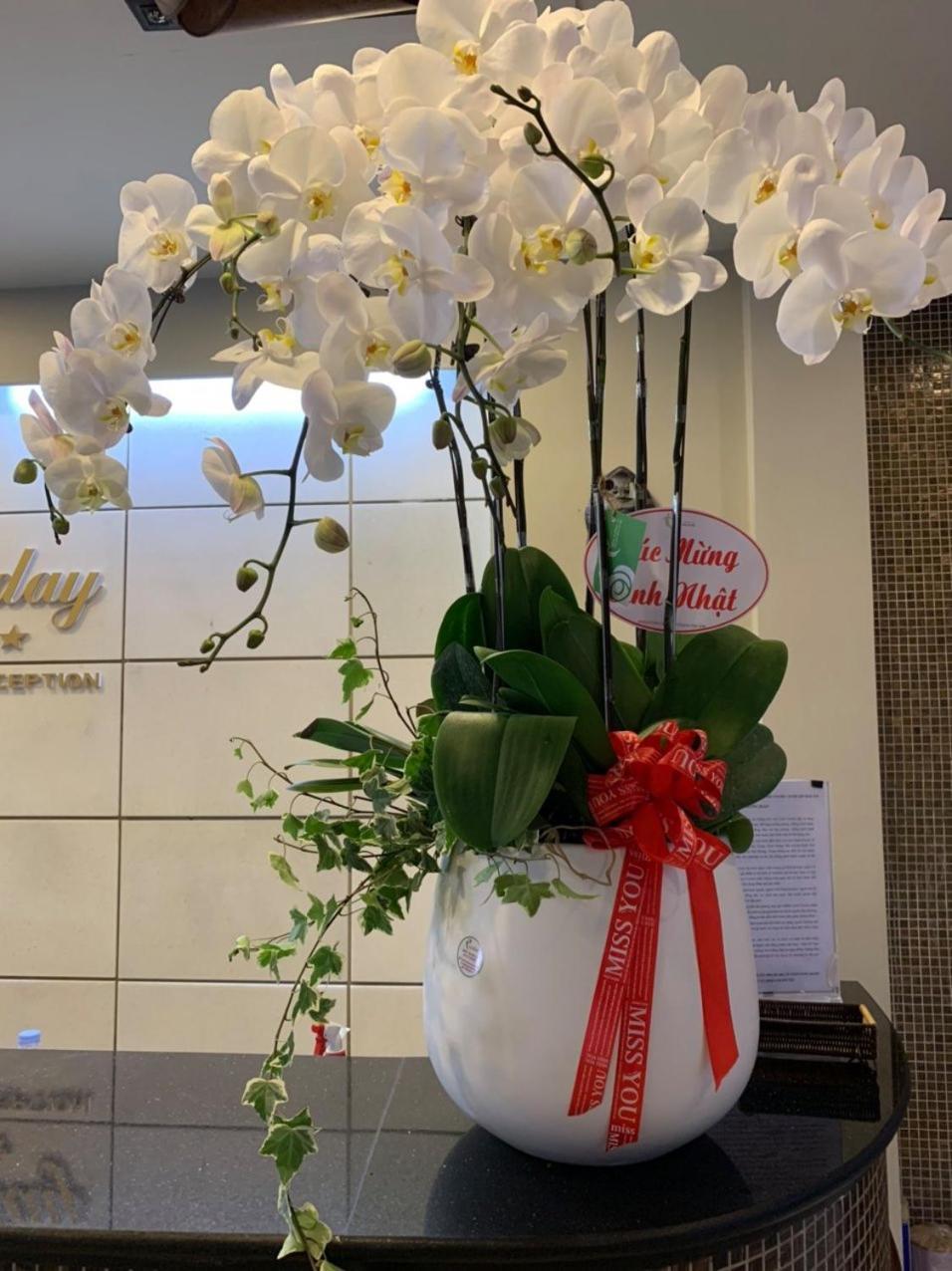Holiday Hotel Χάι Φονγκ Εξωτερικό φωτογραφία